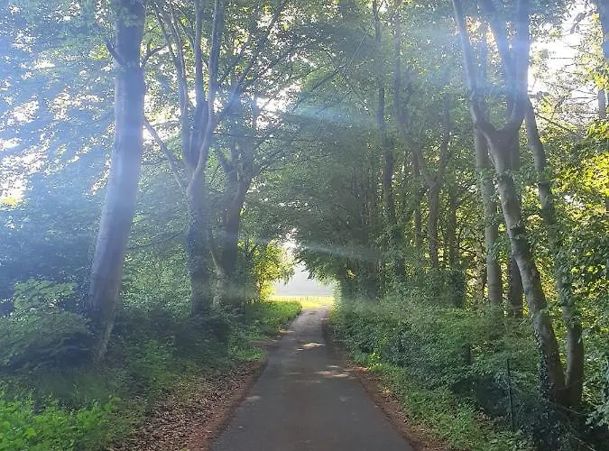 Schoene Aussicht Apartment